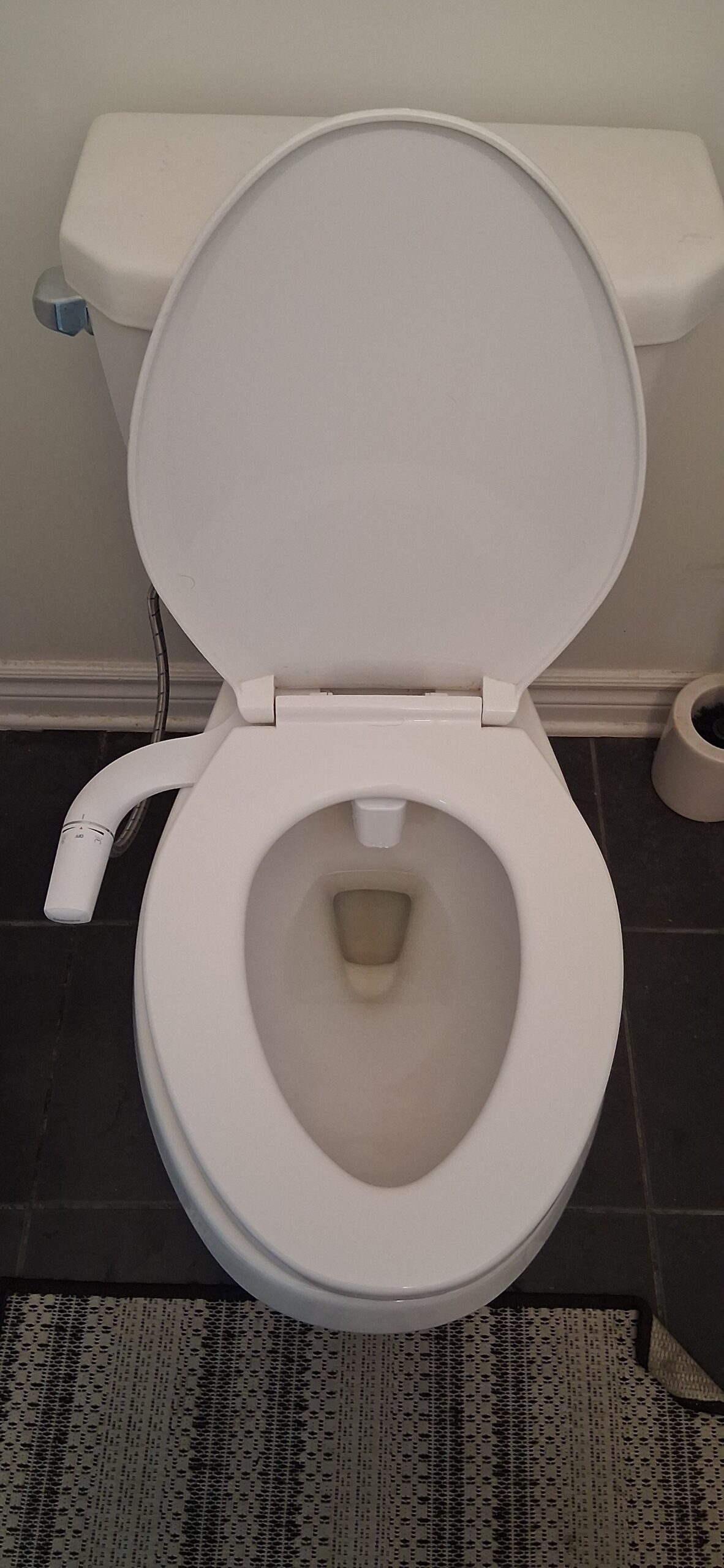Bidet attachment installation in Ottawa — FixItAll Handyman Services
