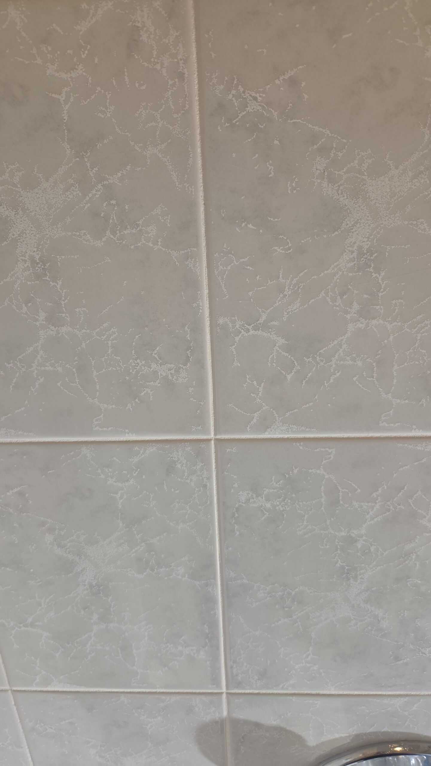 Grout repair on a tiled surface in Ottawa