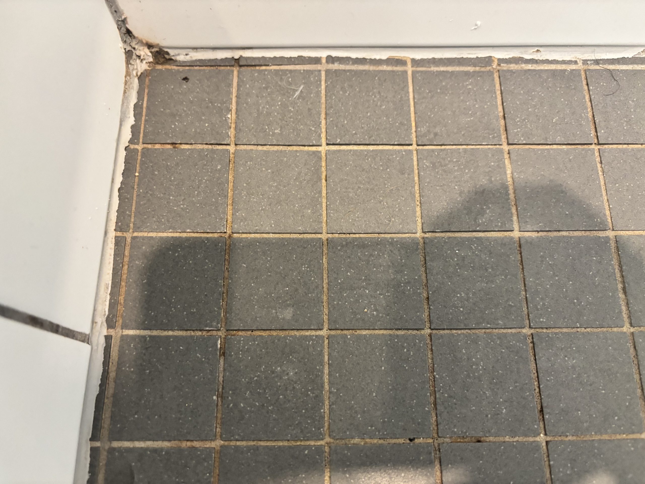 Prepared grout before sealing