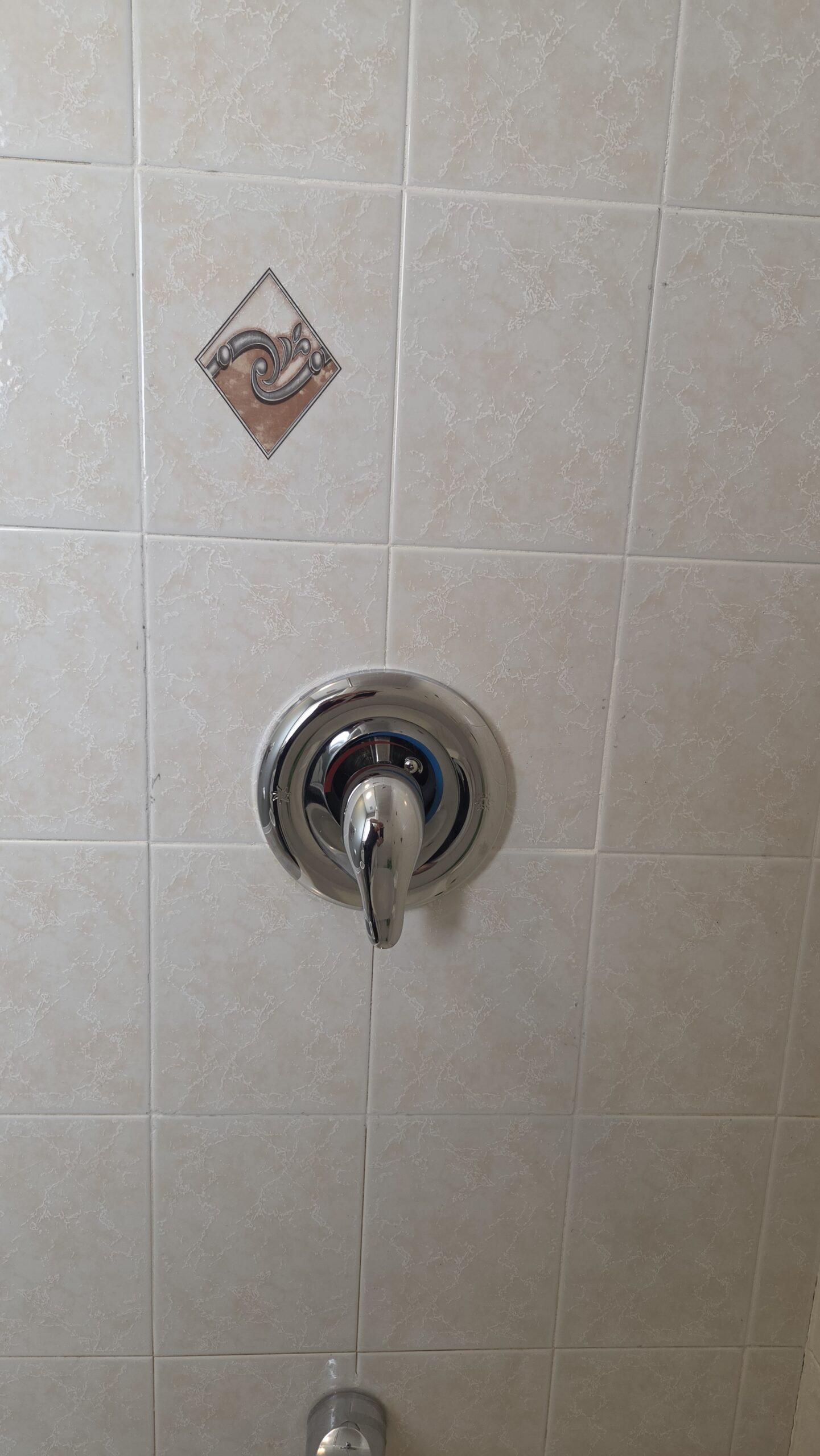 Shower tile after completed repair