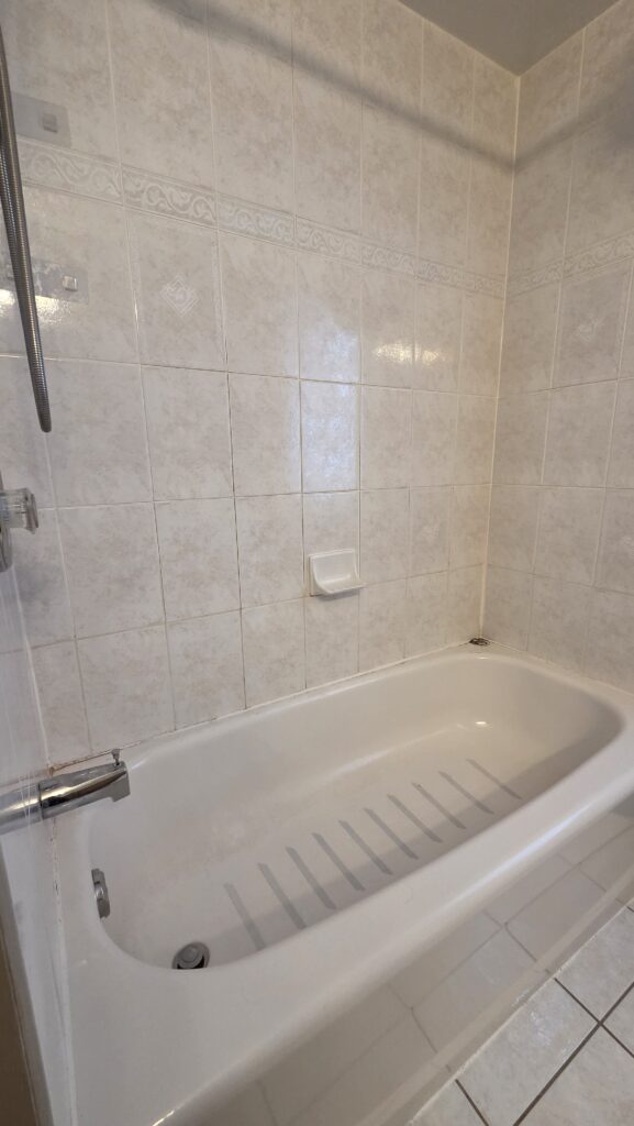 Moldy Silicone Replacement in Ottawa